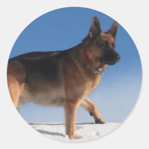 Sticker Rond Chien berger allemand sain et heureux