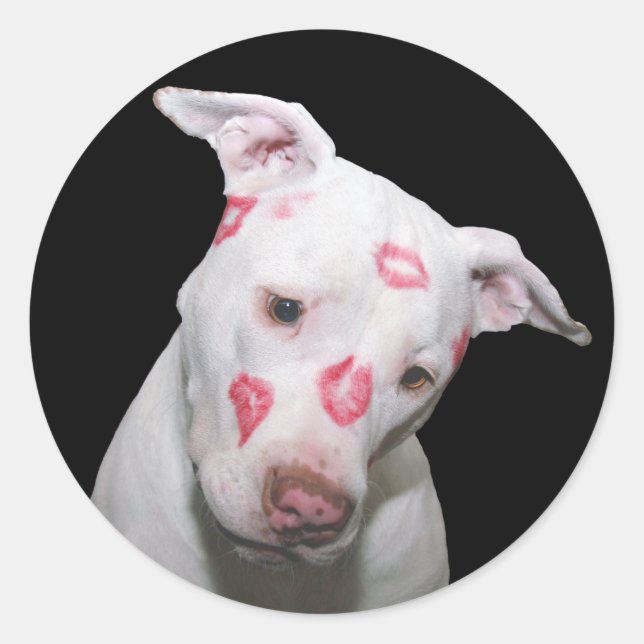 Sticker Rond Chien blanc amoureux, Scellé avec baisers en bâton (Devant)