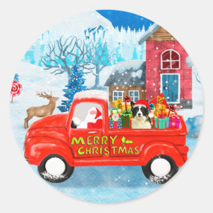Sticker Rond Chien Border Collie dans un camion de livraison de