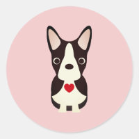 Chien Boston Terrier Saint-Valentin, Saint-Valenti