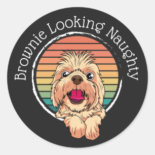 Sticker Rond Chien Brownie à l'air coquin