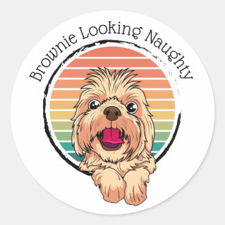Sticker Rond Chien Brownie à l'air coquin