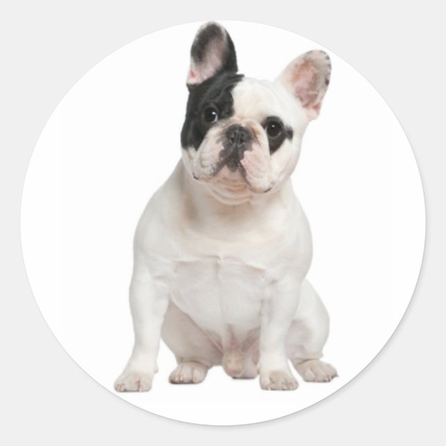 Sticker Rond Chien Chien Chien Chien Chien Chien Blanc Noir Oei (Devant)