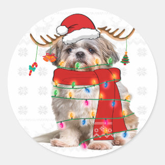 Sticker Rond Chien Chien Chien Chien Chien Chien Noël Lumière A