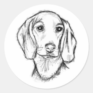 Sticker Rond Chien-chien dragon