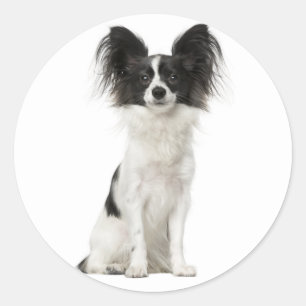 Sticker Rond Chien Chien Noir Et Blanc Papillon - Chien D'Amour