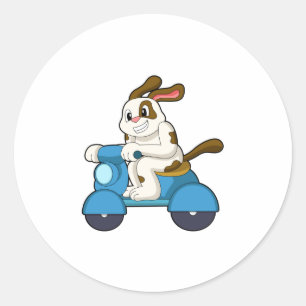 Sticker Rond Chien comme Biker avec Scooter.PNG