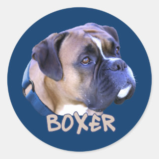 Sticker Rond Chien de boîte