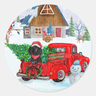 Sticker Rond Chien de caniche en livraison de Noël Camion Neige