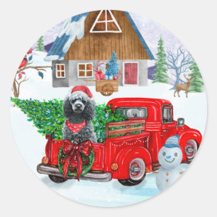 Sticker Rond Chien de caniche en livraison de Noël Camion Neige