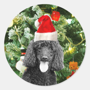 Sticker Rond Chien de caniche sapin de Noël Snowman Red Santa C