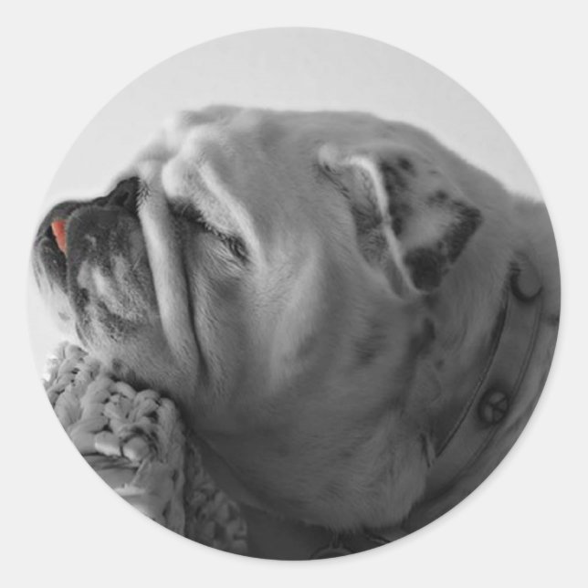 Sticker Rond Chien de chambre (Devant)