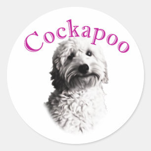 Sticker Rond Chien de Cockapoo