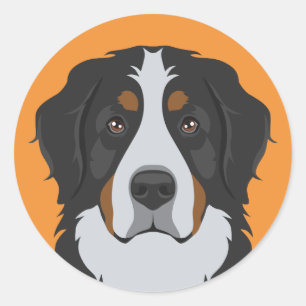 Sticker Rond Chien de montagne bernois