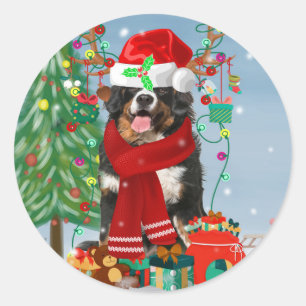 Sticker Rond Chien de montagne bernois en neige avec cadeaux de