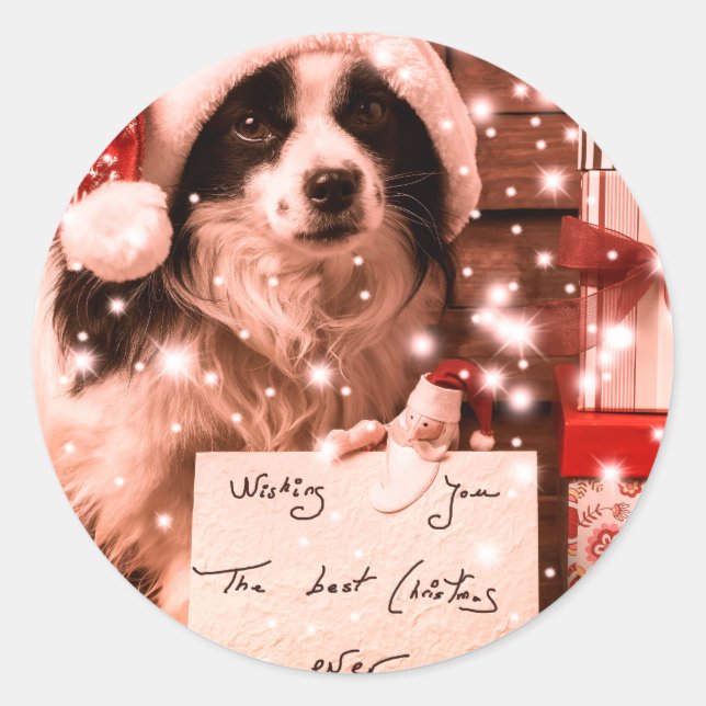 Sticker Rond CHIEN DE NOËL CHIEN AVEC BÂTIMENT DE chapeau DE Pè (Devant)