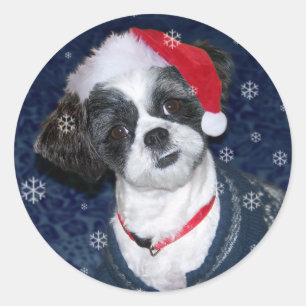 Sticker Rond Chien de Noël Shih Tzu