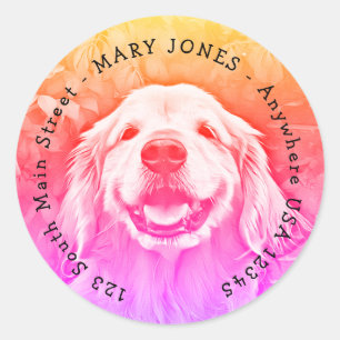Sticker Rond Chien de sourire de golden retriever dans le rose