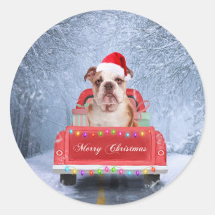 Sticker Rond Chien de taureau anglais en neige assis sur un cam