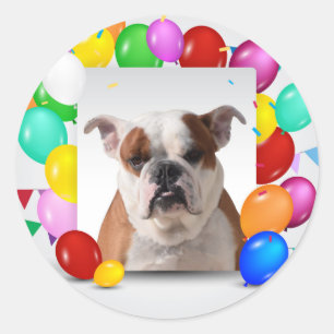 Sticker Rond Chien de taureau avec des ballons colorés Thème d'
