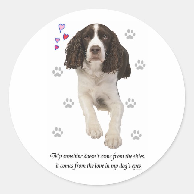 Sticker Rond Chien espagnol Springer anglais (Devant)
