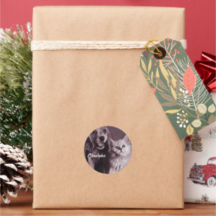 Sticker Rond Chien et Chat, Recherche Personnalisée