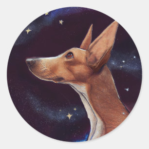 Sticker Rond Chien et étoiles Art Night Sky