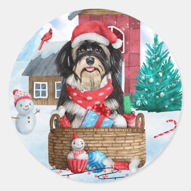 Sticker Rond Chien Havanais dans la neige Maison de Chien de No (Devant)