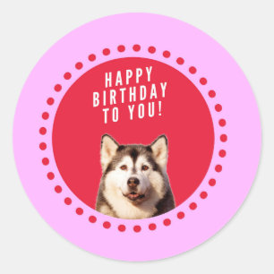 Sticker Rond Chien Husky Sibérien mignon qui souhaite un joyeux