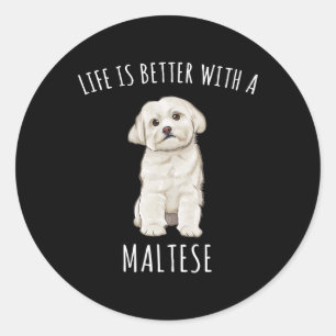 Sticker Rond Chien Maltais La Vie Est Meilleure Avec Un Chien M