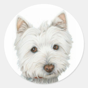 Sticker Rond Chien mignon Westie