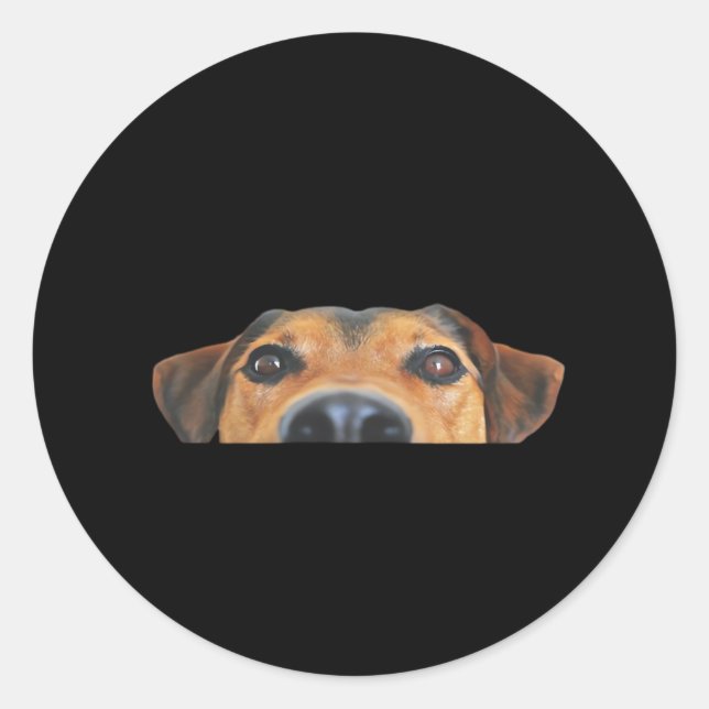 Sticker Rond Chien Peekaboo (Devant)