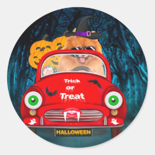 Sticker Rond Chien Pomeranian Conduisant une Voiture Épouvantab