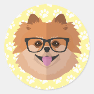 Sticker Rond Chien Poméranien En Verres Nerd   Cadeau Hipster m