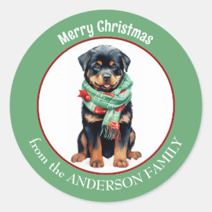 Sticker Rond Chien Rottweiler en rouge et vert Écharpe de Noël