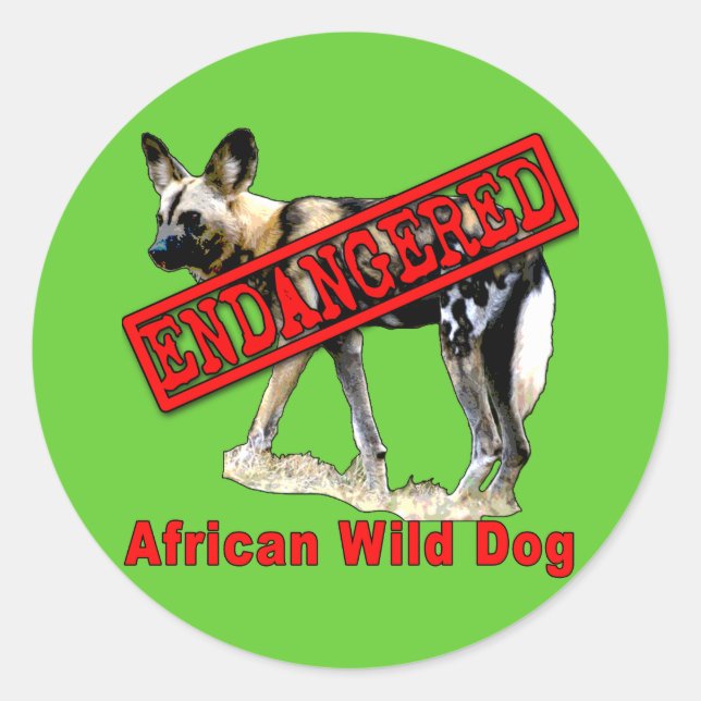 Sticker Rond Chien sauvage africain Produits animaux en danger (Devant)