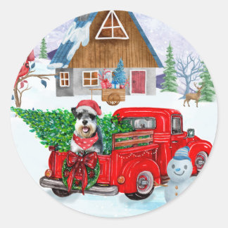 Sticker Rond Chien Schnauzer en livraison de Noël Camion Neige