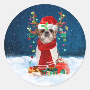Sticker Rond Chien Shih Tzu en neige avec cadeaux de Noël