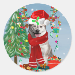Sticker Rond Chien sibérien Husky à Noël de neige