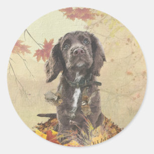 Sticker Rond Chien spaniel spaniel cocker au chocolat