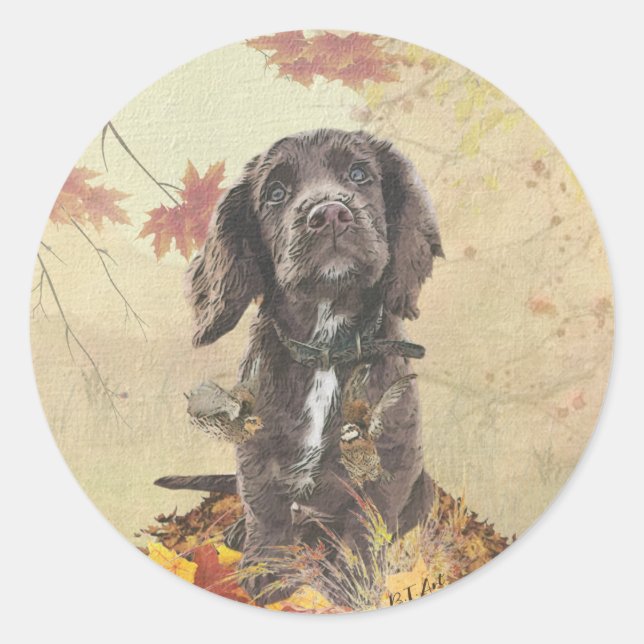 Sticker Rond Chien spaniel spaniel cocker au chocolat (Devant)