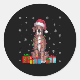 Sticker Rond Chien Vilain Noël Lumières Santa Hat Grand Chien D