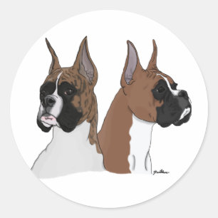 Sticker Rond Chiens de boxe
