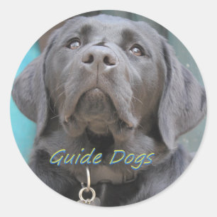 Sticker Rond Chiens de guide - Black Lab Cross