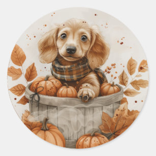 Sticker Rond Chiens de l'automne Dachshund Citrouille