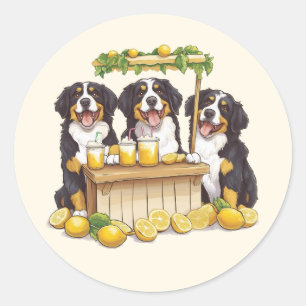 Sticker Rond Chiens De Montagne Bernois Couchant Un Socle De Le