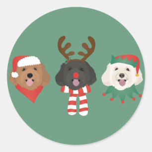 Sticker Rond Chiens de Noël Maltipoo