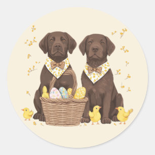 Sticker Rond Chiens de récupération du labrador de pâques