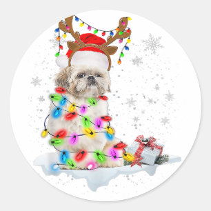 Sticker Rond Chih Tzu Chien Noël Lumières de Noël des rennes