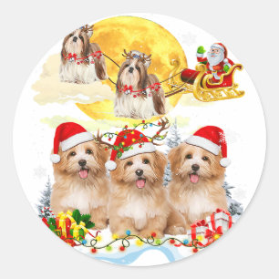 Sticker Rond Chih Tzu Chien Père Noël Sleigh Cadeau de l'aman